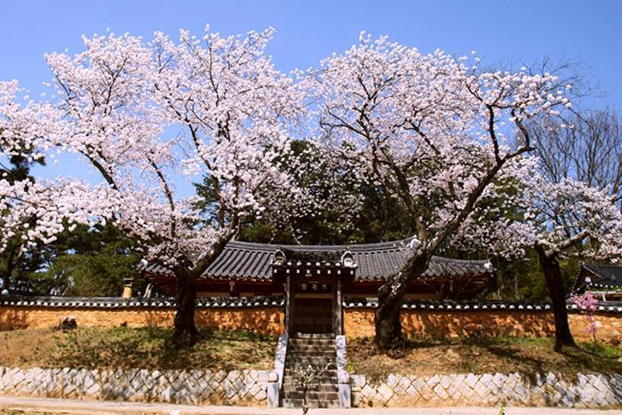 Wolamjae Vila Gyeongju Exterior foto