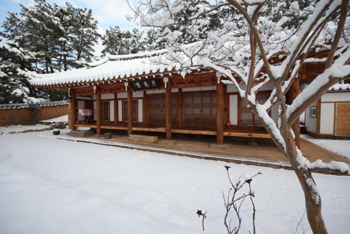 Wolamjae Vila Gyeongju Exterior foto